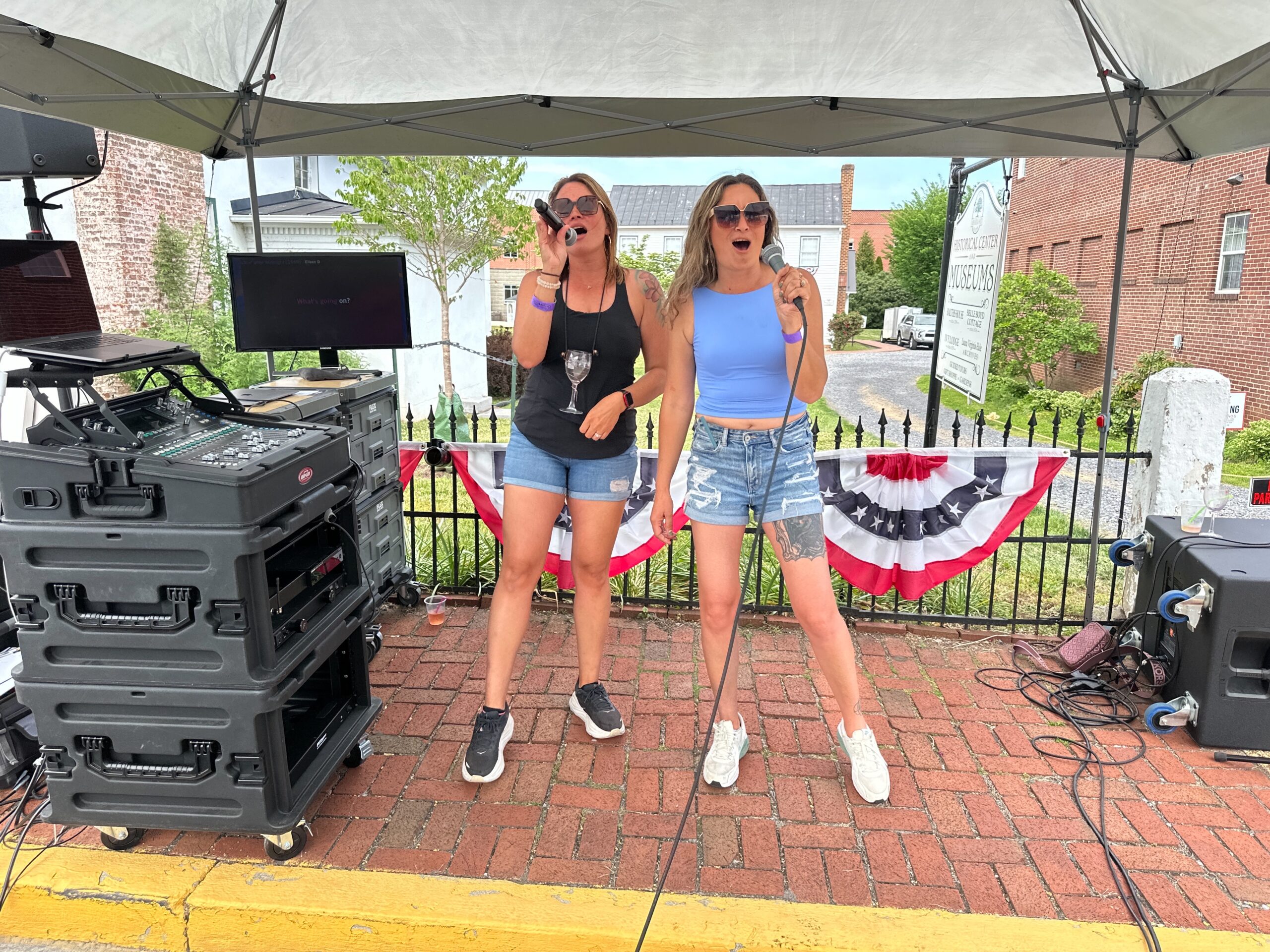 Va. Wine & Craft Festival DJ & Karaoke w/ Route 11 DJ Dan McDermott 5/16/26